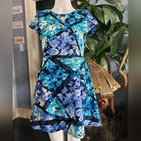 Shelby & Palmer Floral Flare Mini Dress Size 10P Blue Black Green - Picture 2 of 7
